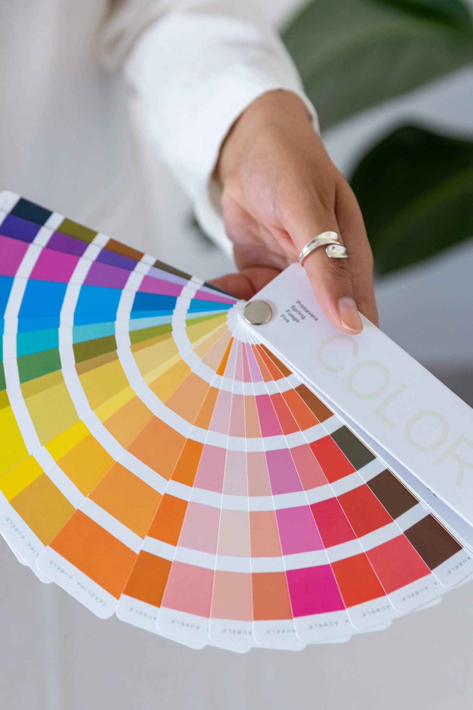 Paleta de colores utilizada en análisis de colorimetría personal